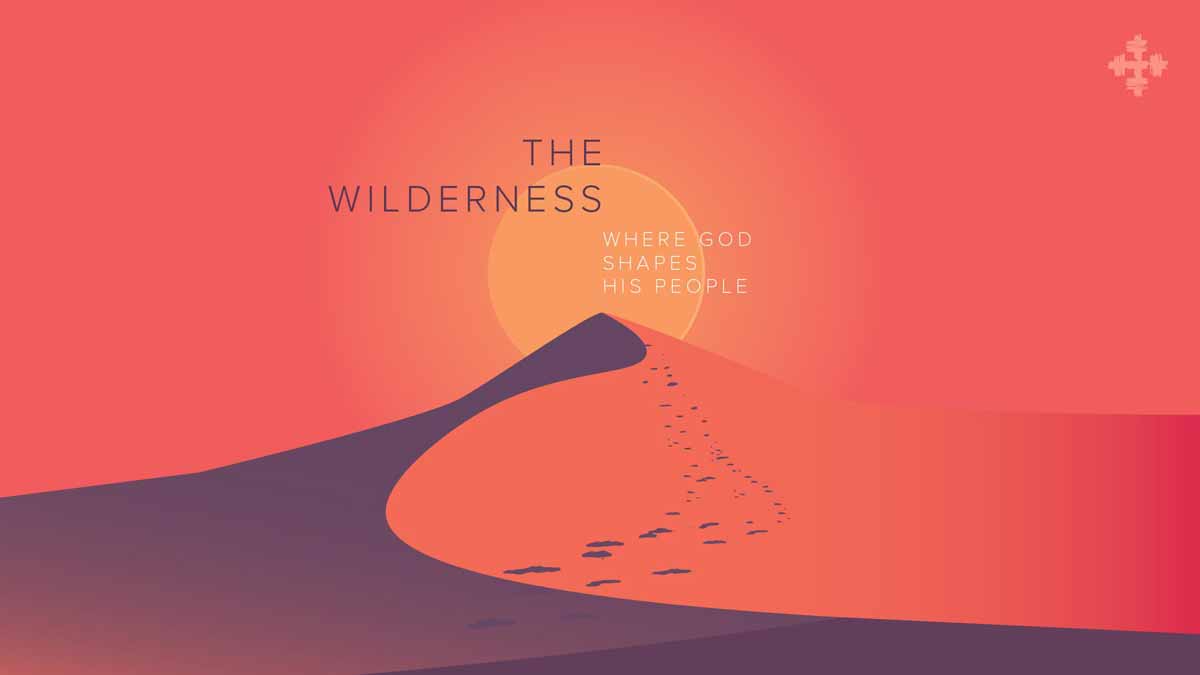 The Wilderness: Where God Shapes His People graphic