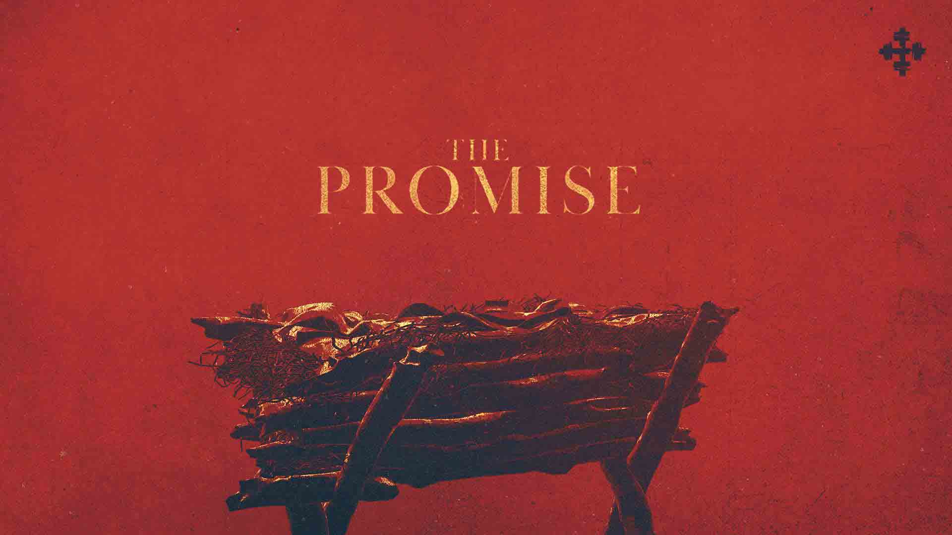 Advent 2020: The Promise graphic