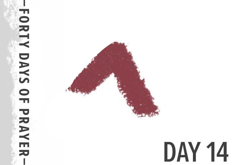 0e10950346_1600555988_40-days-day-14-promo-800px