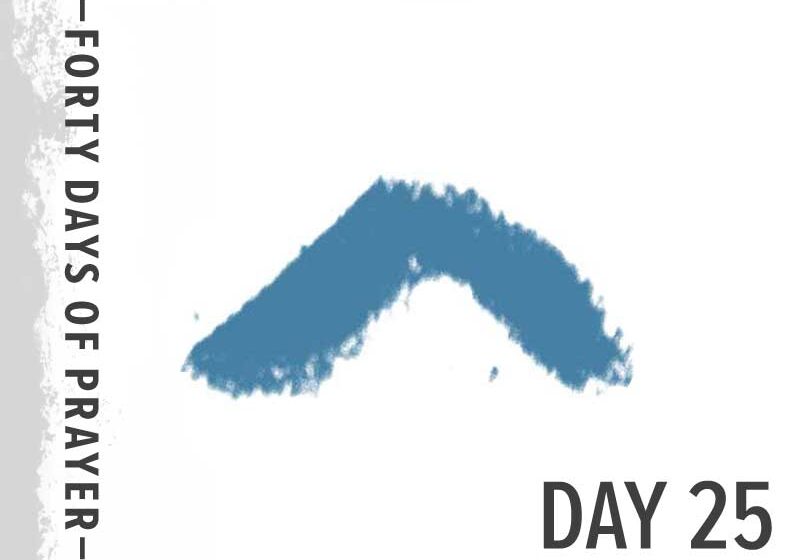 0e11009166_1601774221_40-days-day-25-promo-800px