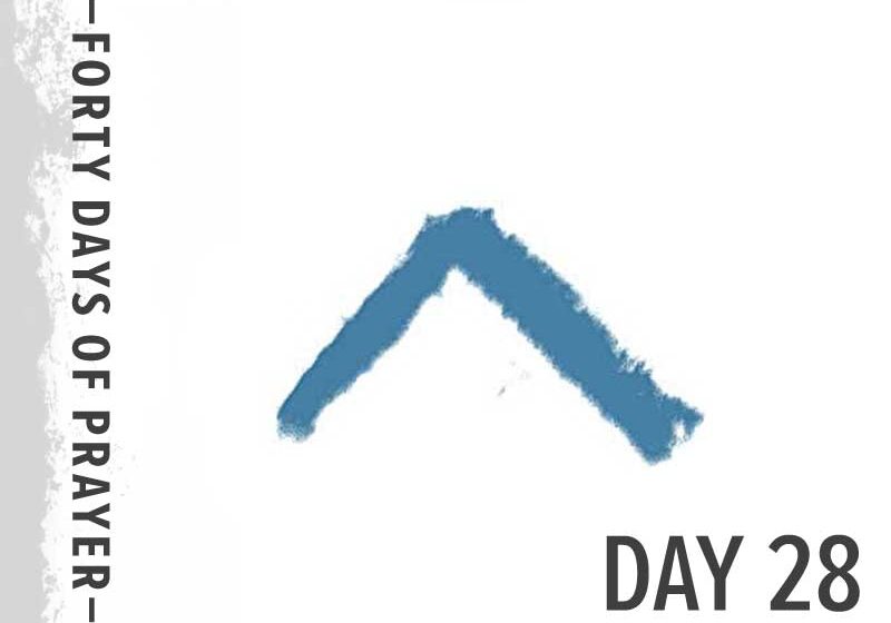 0e11023039_1602085409_40-days-day-28-promo-800px