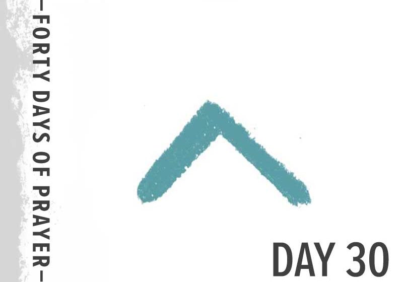 0e11051889_1602446863_40-days-day-30-promo-800px