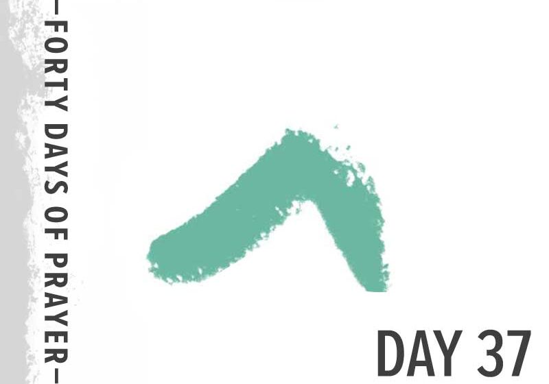 0e11051998_1602449817_40-days-day-37-promo-800px