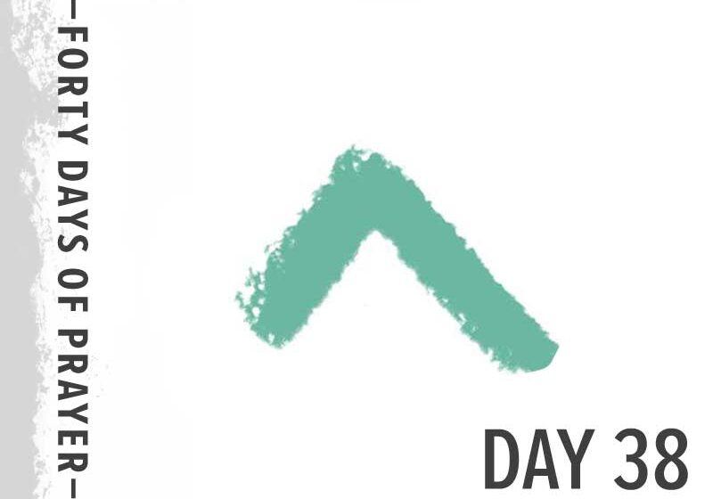 0e11052006_1602450041_40-days-day-38-promo-800px