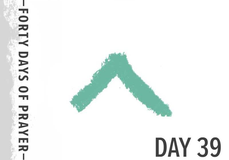 0e11052010_1602450201_40-days-day-39-promo-800px