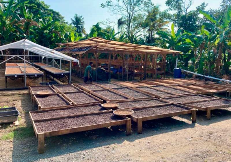 0e13946511_1647897443_southeast-asia-promo