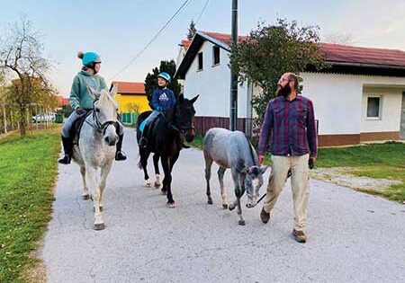 0e15181612_1670612962_rooted-promo