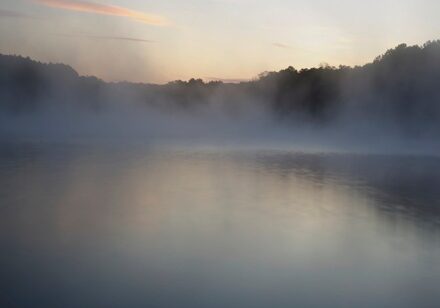 0e4025143_1423950823_addison-fog-thumbnail