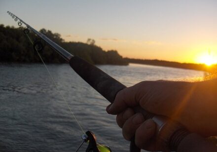 0e4107061_1427134115_150323-identity-fishing-440-web