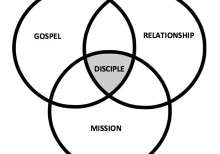 0e4161111_1429038226_dna-disciplenew-440-web