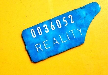 0e4251469_1432313352_150522-kinder-reality-440-web