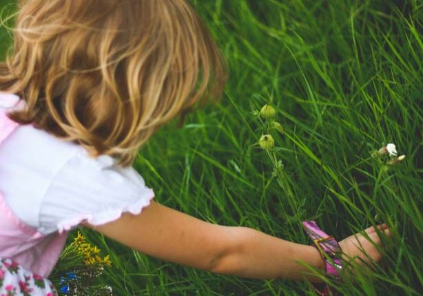 0e4354294_1436299307_fk-update-promo-201507-1404px