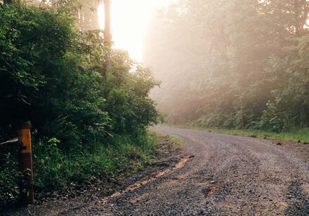 0e4453243_1440034995_wood-sight-440-web