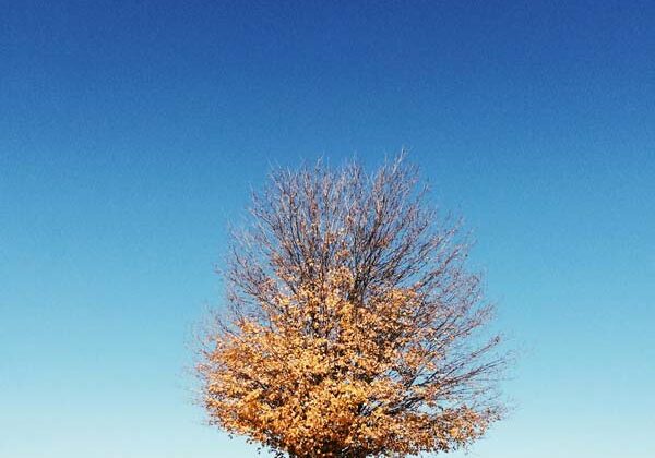 0e5620069_1478799979_fk-update-201611-blog-main-600px