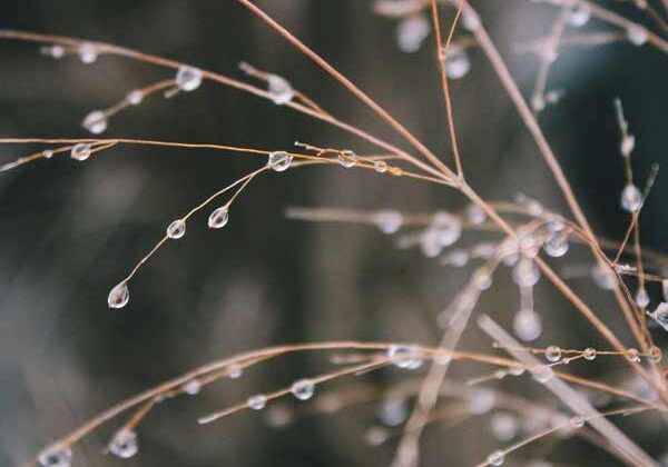 0e5804078_1484168983_fk-update-201701-blog-promo-600px