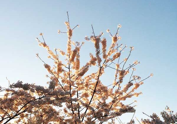 0e6123141_1492030129_fk-update-201704-promo-600px