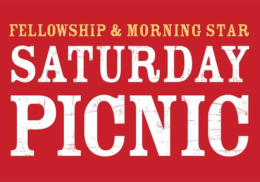 0e6230969_1495219053_blog-local-morning-star-picnic-900
